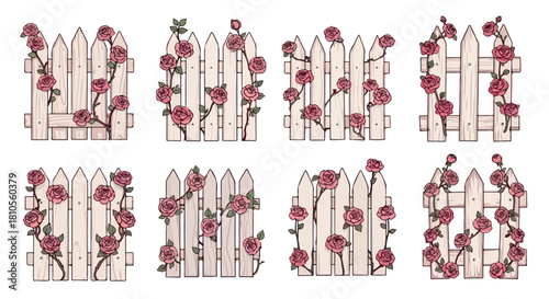 Wooden fence with climbing roses, multiple views