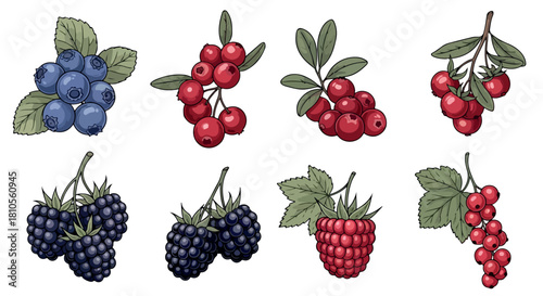 Assorted berries collection with transparent background