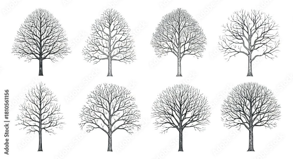 Fototapeta premium Bare tree set with transparent background