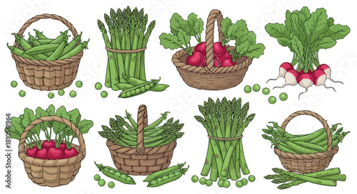 Fresh vegetables in baskets and scattered around