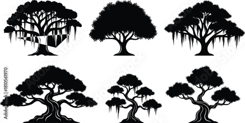 Set of six black tree silhouettes, vector illustration of banyan and bonsai trees, nature design elements, monochrome forest symbols, isolated on white background.