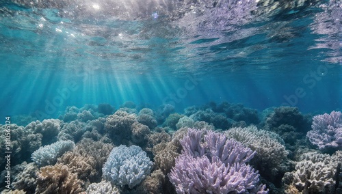 Fototapeta Naklejka Na Ścianę i Meble -  Underwater view of coral reef with sun rays shining through
