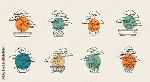 Bonsai trees in pots with abstract shapes