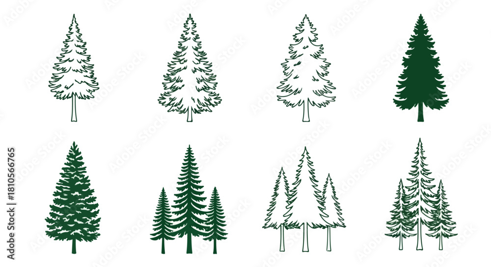 Obraz premium Evergreen trees collection with transparent background