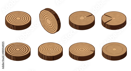 Wood slices with rings and cuts