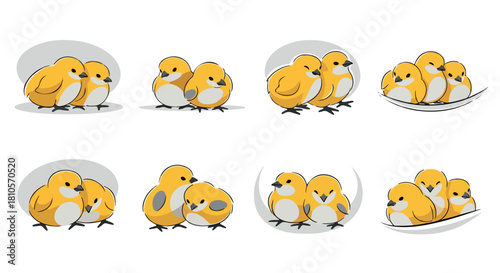 Yellow chicks huddled together in a group