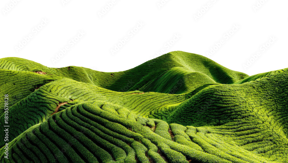 Fototapeta premium Lush, green, terraced hills against a black backdrop