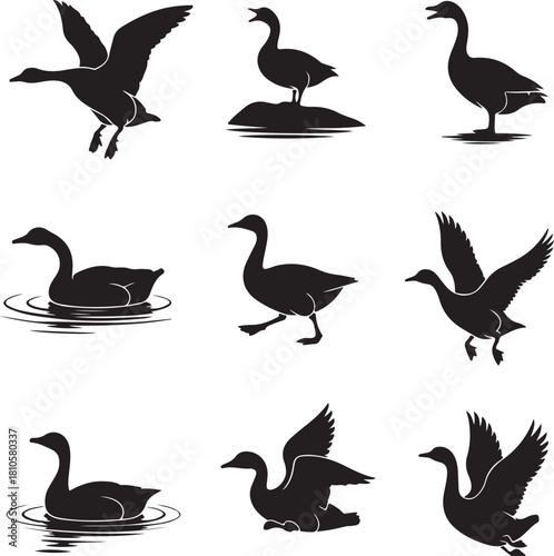 Geese silhouettes in various poses flying swimming walking and standing goose silhouette logo goose