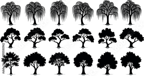 Set of black tree silhouettes including weeping willow, bonsai, and oak, vector isolated icons for nature, forest, and landscape design.