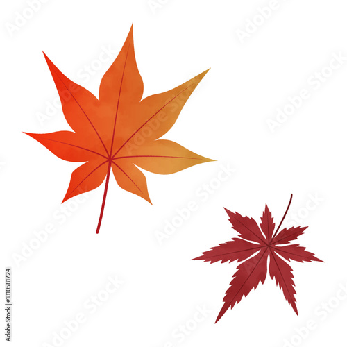 もみじ（水彩風）