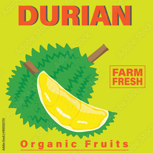 Durian packaging design templates, watercolour style vector illustration.