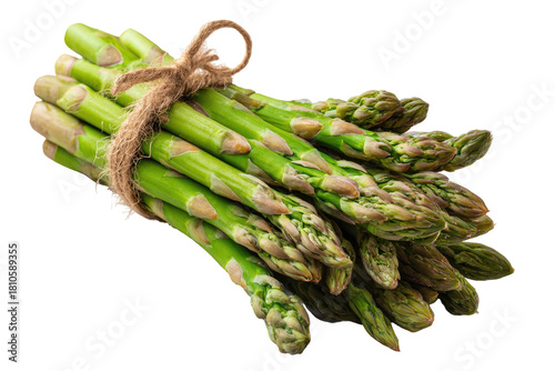 Asparagus bundle tied with twine. Fresh green stalks