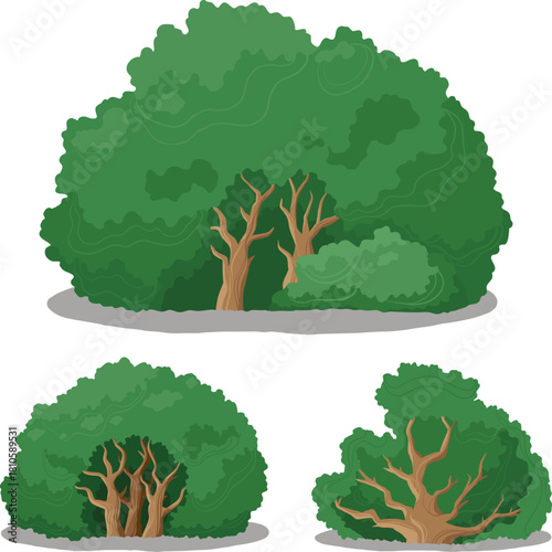 Stylized Green Bushes and Shrubs with Exposed Tree Trunks