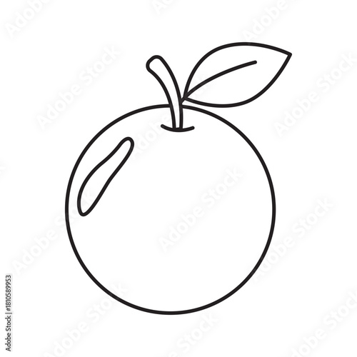 orange fruit line art illustration, suitable for minimalist design, healthy eating concepts and coloring book