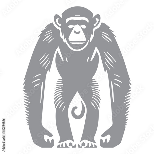 Chimpanzee Illustration