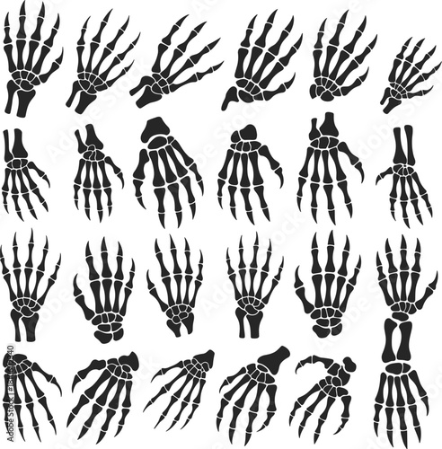 Skeletal hand illustration, bone anatomy, stylized skeleton art, medical reference, gesture design, phalanges, metacarpals, carpals, posture, black background