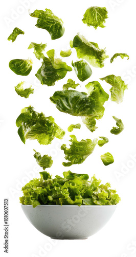 Floating lettuce leaves over a bowl