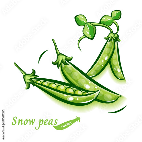 サヤエンドウ(スナップエンドウ)のポップなイラスト｜新鮮野菜のベクター素材