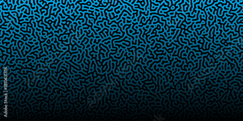 Abstract Reaction-diffusion Turing pattern natural texture blue and black gradient color scheme. Linear design with biological algorithm psychedelic background. Reaction-diffusion or truing patter