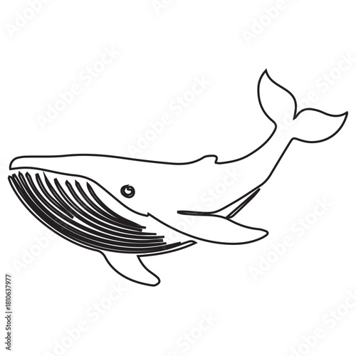 Ocean Whale Outline