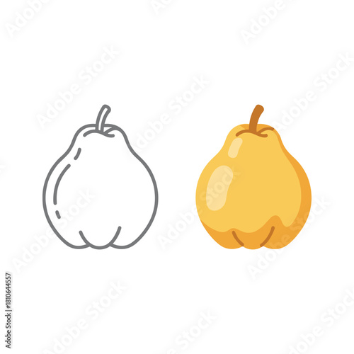 Simple pear fruit illustration in outline and colored versions
