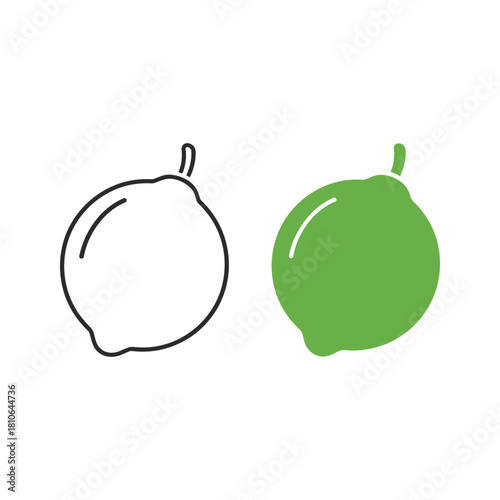 Lime fruit icon, outline and color version isolated on