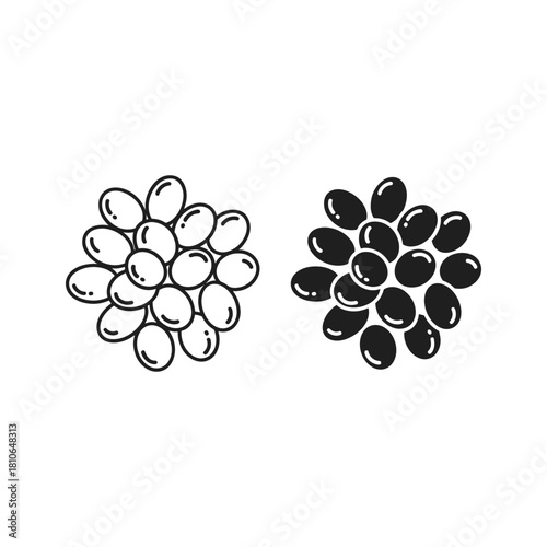 Illustration of coffee bean isolated on with black color