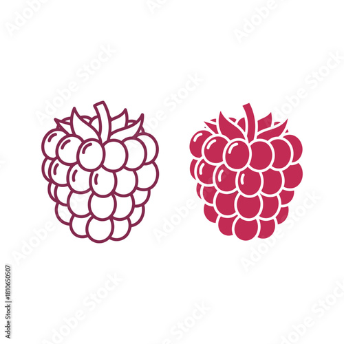 Two raspberries, one in outline and one in solid, isolated on