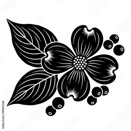 Elegant black and white silhouette of a dogwood flower with leaves and berries isolated on, creating a classic botanical art