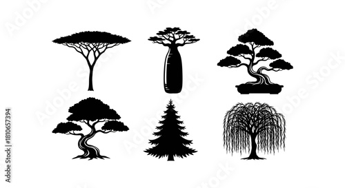 Diverse Tree Silhouettes - A Collection of Arboreal Forms.