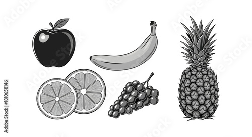 Monochrome Still Life - Assorted Fruits in Detailed Illustration.