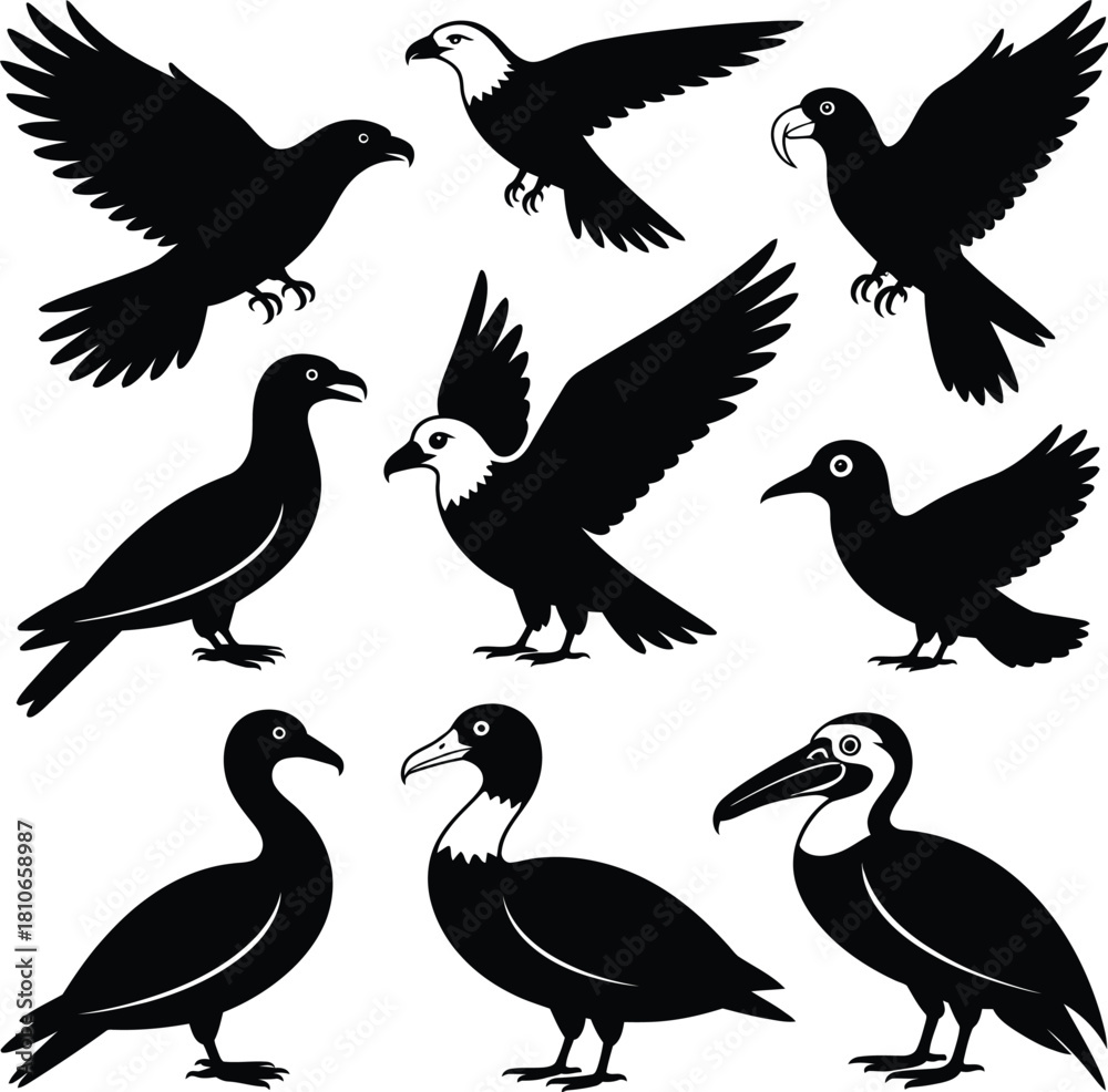 Fototapeta premium Animal Bundle Vector