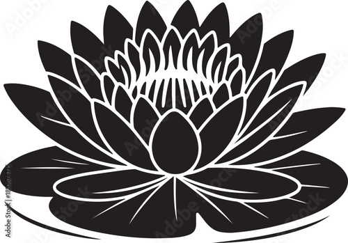 black silhouette of water lily on white background, vector