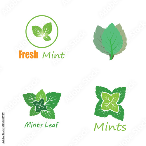 Leaf mint logo vector template