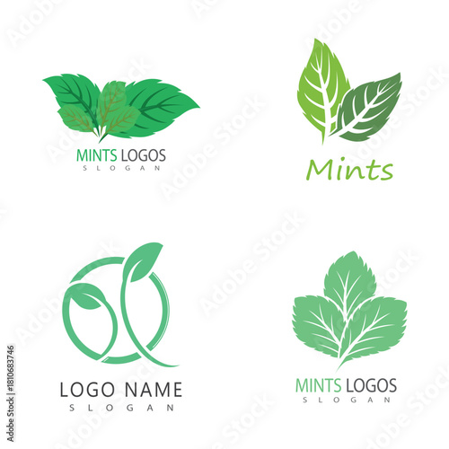 Leaf mint logo vector template
