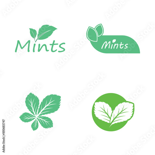 Leaf mint logo vector template