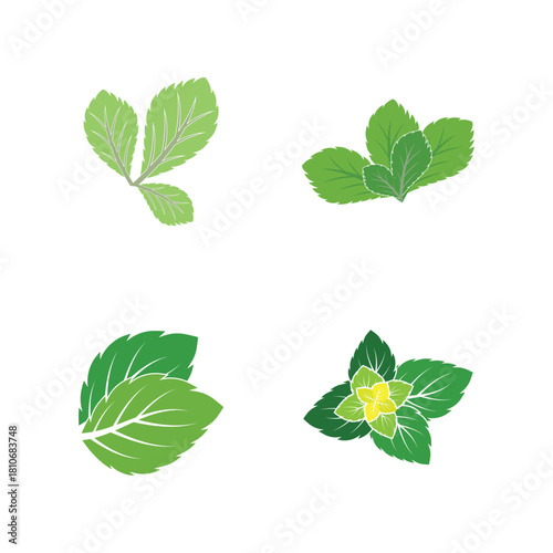 Leaf mint logo vector template