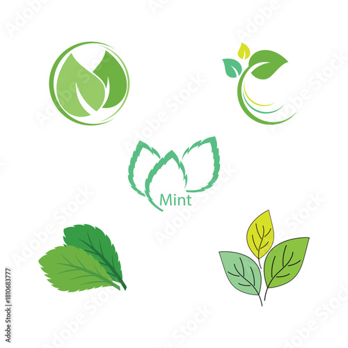Leaf mint logo vector template