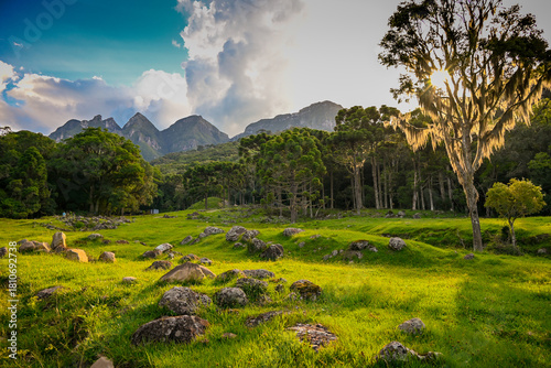 Forest Nature Landscape Mountais in Brazil