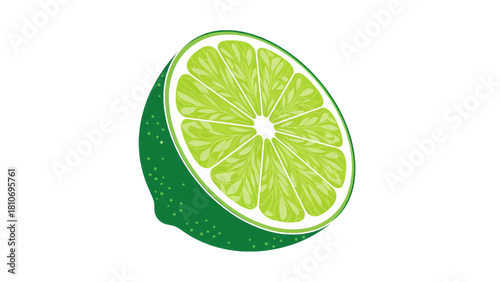 Vector illustration of half cut fresh green lime citrus fruit slice illustration isolated on transparent background 