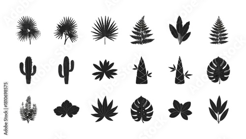 Vector illustration of set of various tropical and desert plant leaves and cactus icons in grunge style, isolated on transparent background 