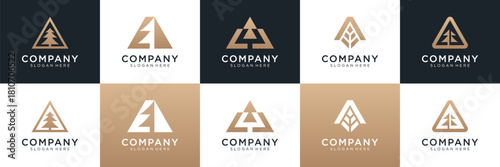 Set of abstract pine tree with letter A logo design. Universal icon for business and branding. minimalist elegant luxury design vector illustration.