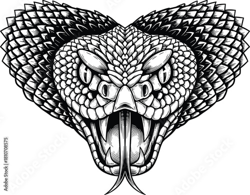 Detailed hand drawn engraving style vector of angry snake head with scales and fangs isolated on white background design.
