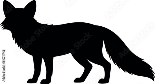 Black fox silhouette white animal