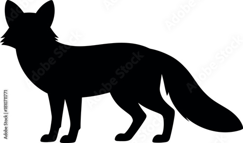 Black fox silhouette standing animal mammal