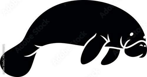 Black manatee silhouette white animal