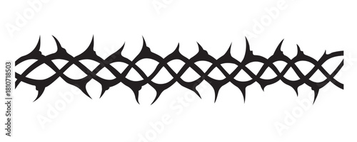 black crown of thorns image isolated on white background