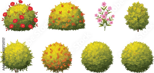 Colorful seasonal bushes and flowering plants collection with vibrant foliage, garden shrubs, autumn leaves, and decorative landscaping vegetation elements vector set