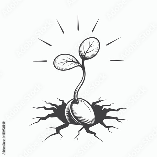 Resilient Plant Sprouting from Cracked Ground Minimalist Black and White Illustration
