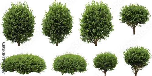 Set of lush green shrubs and small trees with various shapes, foliage density, and landscaping design for garden illustration use.